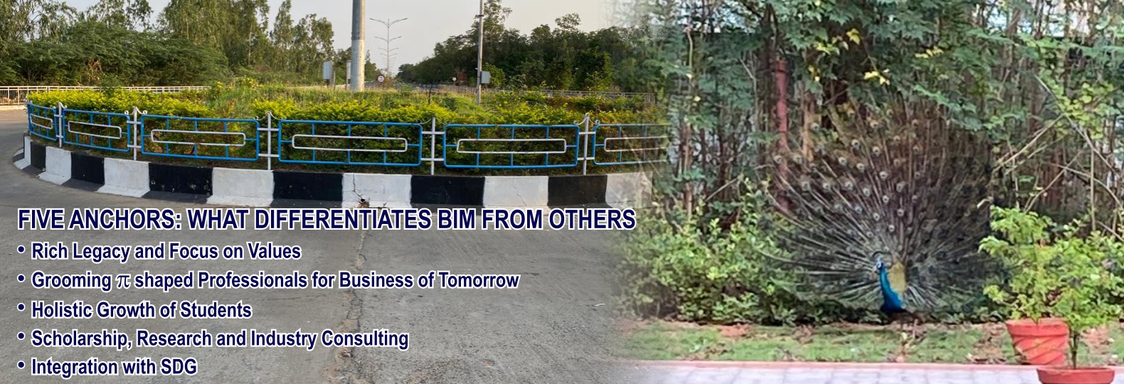 BIM Customized Uniform/Merchandise Store